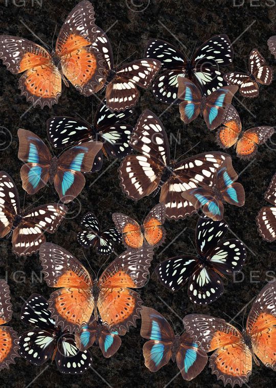 动物印花华亿平台图片