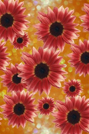 植物印花华亿平台图片