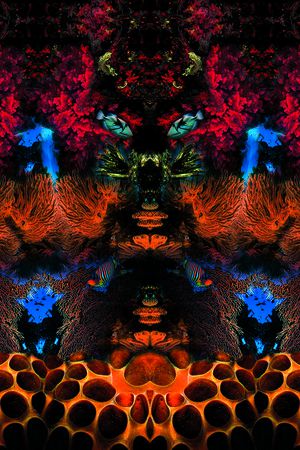 休闲印花华亿平台图片