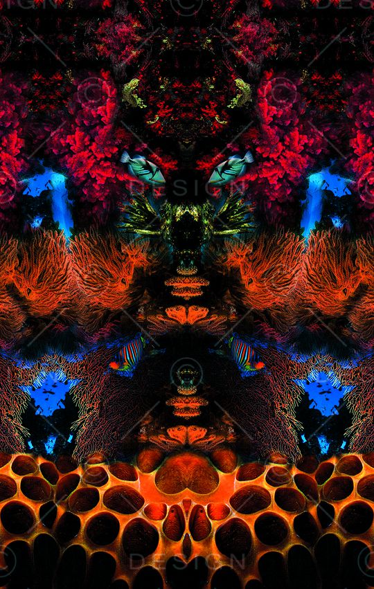 休闲印花华亿平台图片