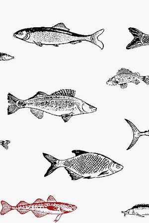 潮流印花华亿平台图片