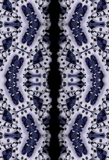 394043-蛇皮花纹组合女装男装