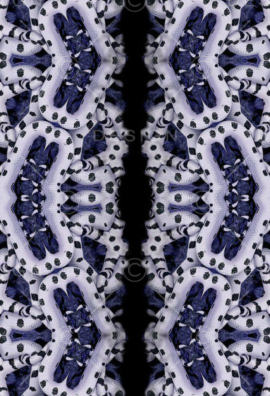 蛇皮印花华亿平台图片