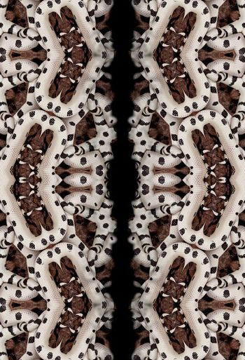 394044-蛇皮花纹组合女装男装