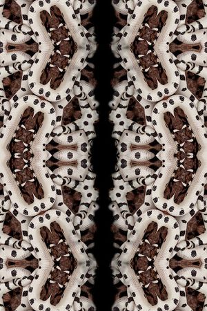 蛇皮印花华亿平台图片