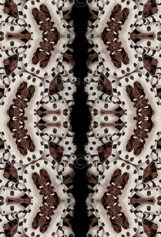 蛇皮印花华亿平台图片