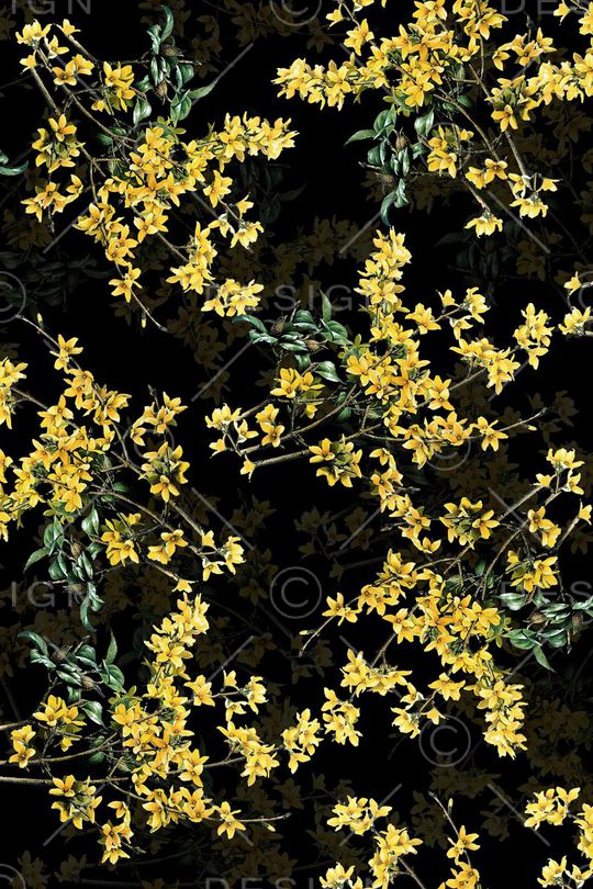 树枝花印花华亿平台图片