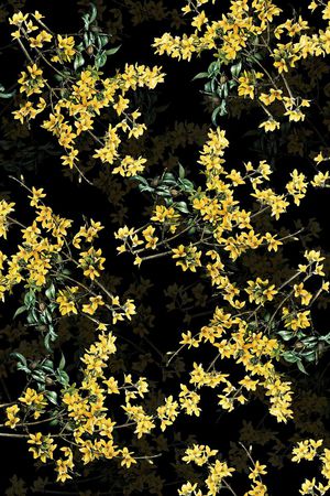 树枝花印花华亿平台图片