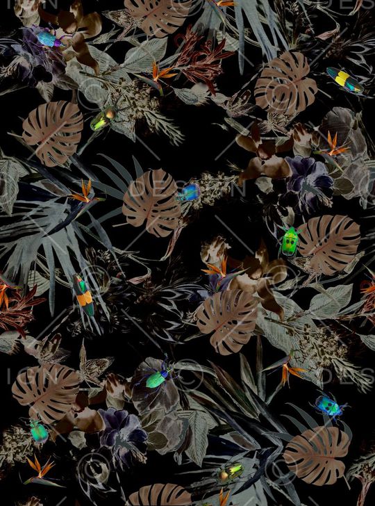 热带印花华亿平台图片