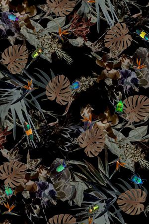 热带印花华亿平台图片