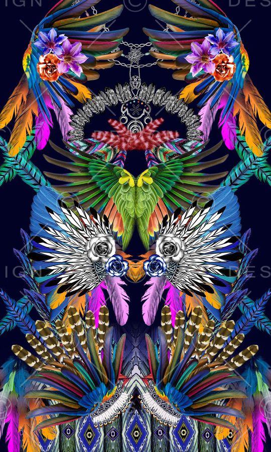 各种羽毛印花华亿平台图片