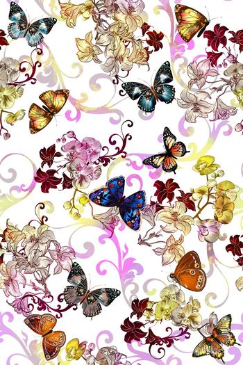 394277-优雅兰花蝴蝶手绘渐变欧式花纹秋冬羽