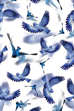 兰色印花华亿平台图片