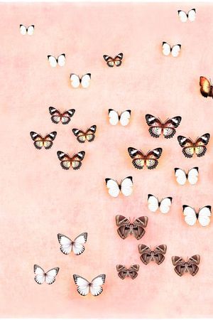 休闲印花华亿平台图片