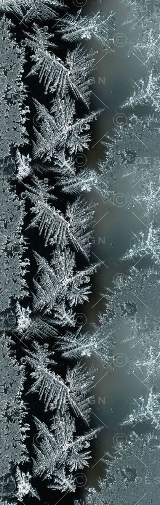 摄影印花华亿平台图片