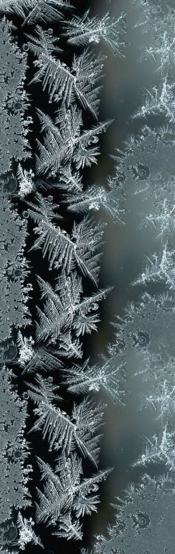 394481-摄影冰花长巾