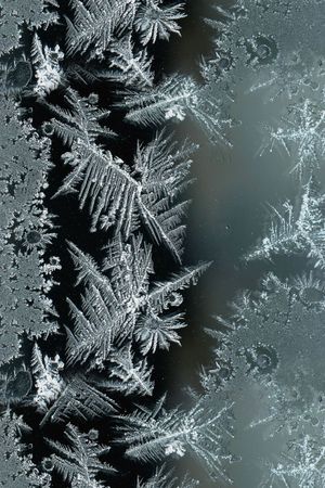 摄影印花华亿平台图片