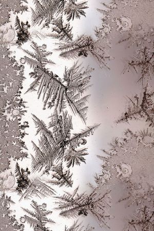 冰花印花华亿平台图片