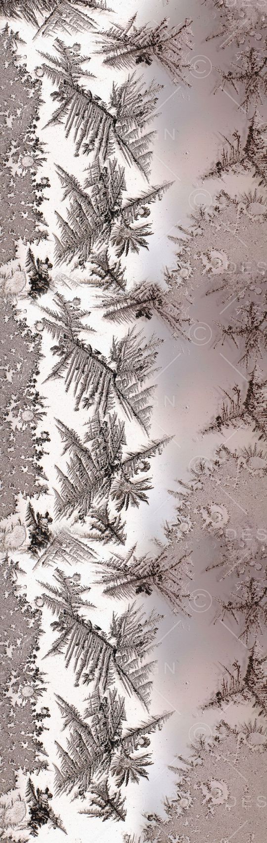 冰花印花华亿平台图片