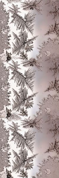 冰花印花华亿平台图片