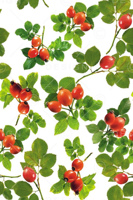 水果印花华亿平台图片