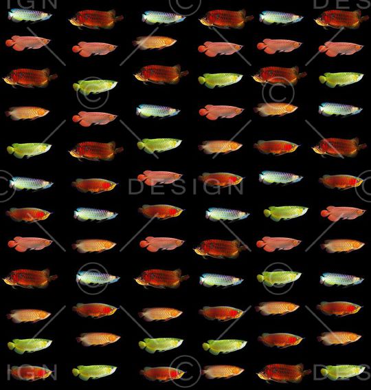 潮流印花华亿平台图片