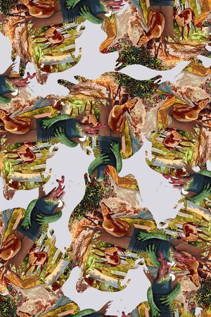 动物印花华亿平台图片