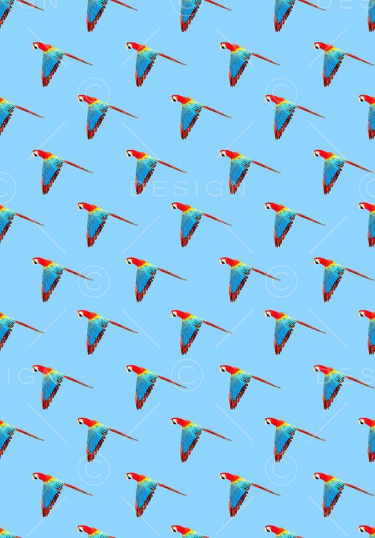 休闲印花华亿平台图片