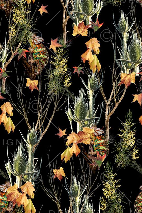 时尚印花华亿平台图片