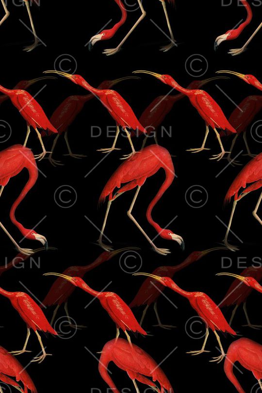 鸟印花华亿平台图片