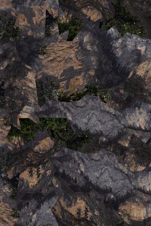 潮流印花华亿平台图片