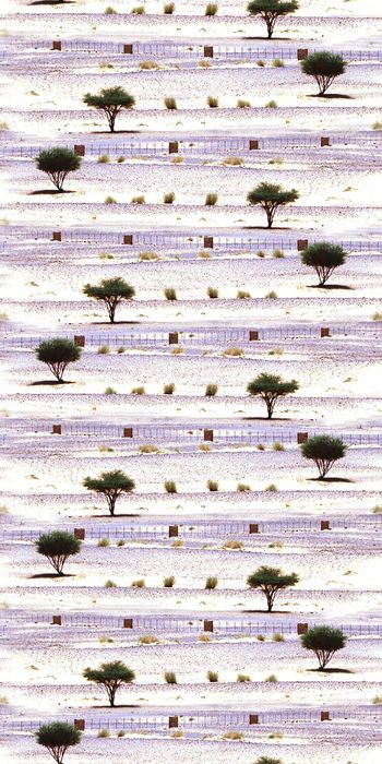 394964-天艺 / 植物