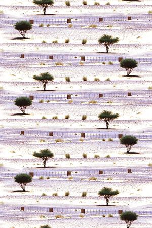 华亿平台印花华亿平台图片