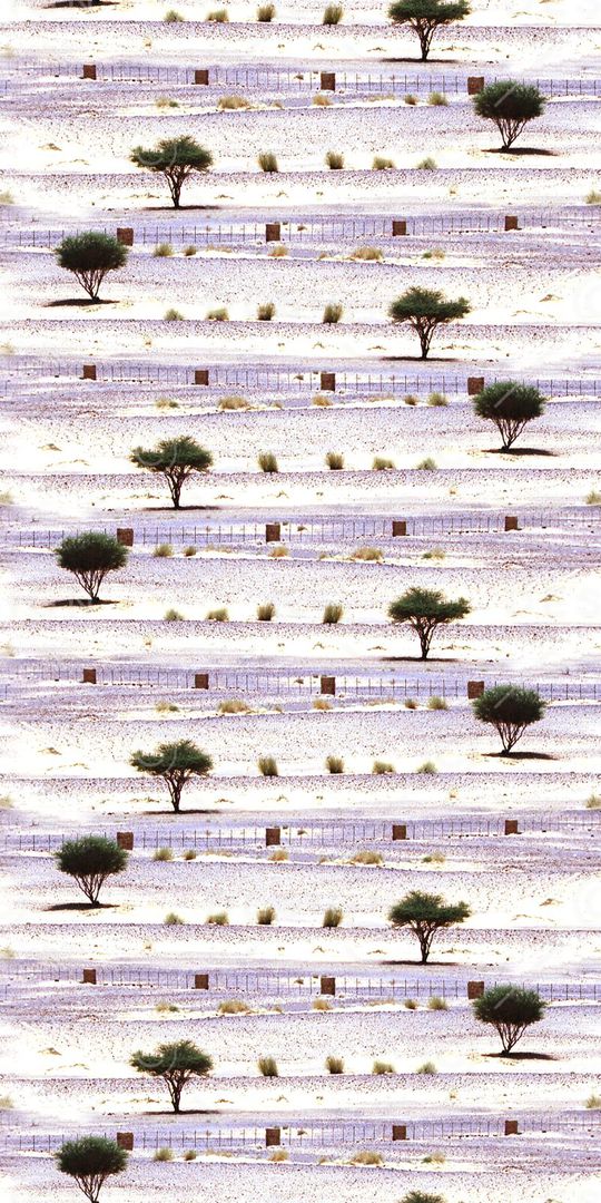 华亿平台印花华亿平台图片