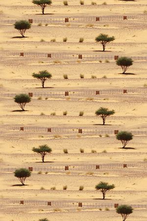 华亿平台印花华亿平台图片