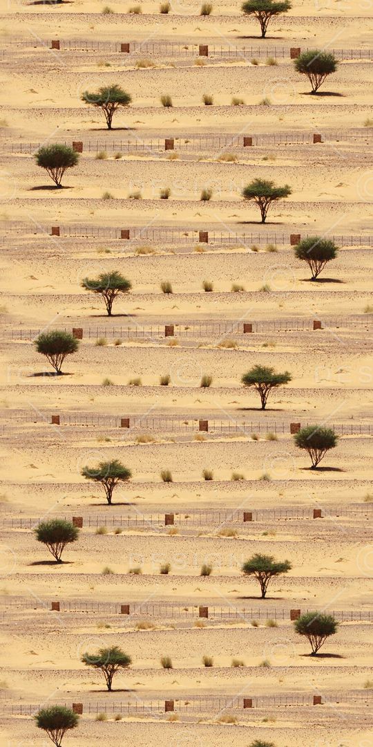 华亿平台印花华亿平台图片