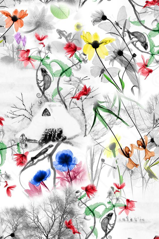 花卉印花华亿平台图片