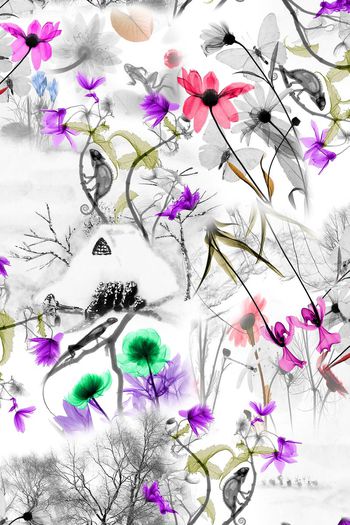 395026-黑白景观动物花卉