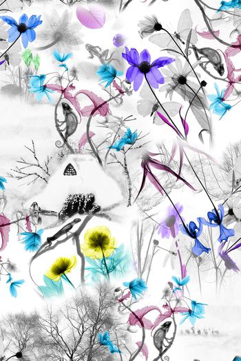 395027-黑白景观动物花卉