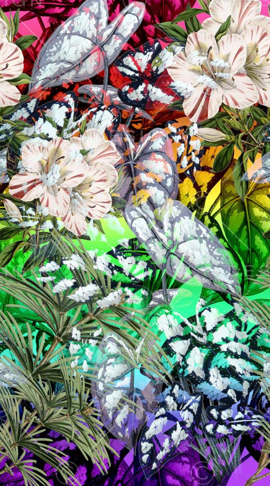 定位花卉印花华亿平台图片