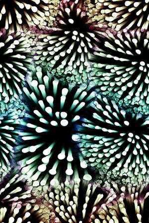 女装印花华亿平台图片