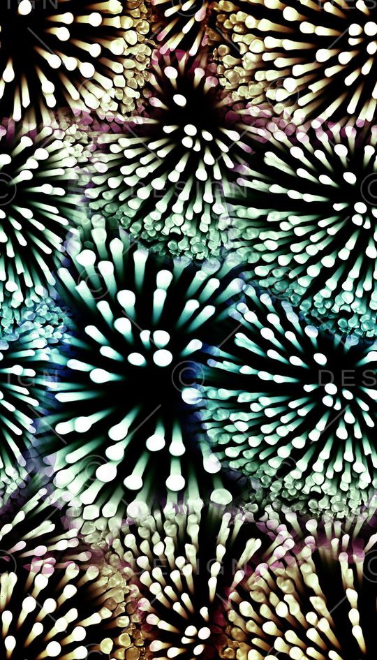 女装印花华亿平台图片