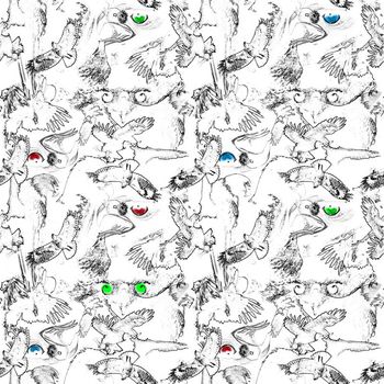 395189-动物系列－老鹰