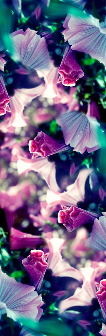 395244-抽象摄影花卉长巾