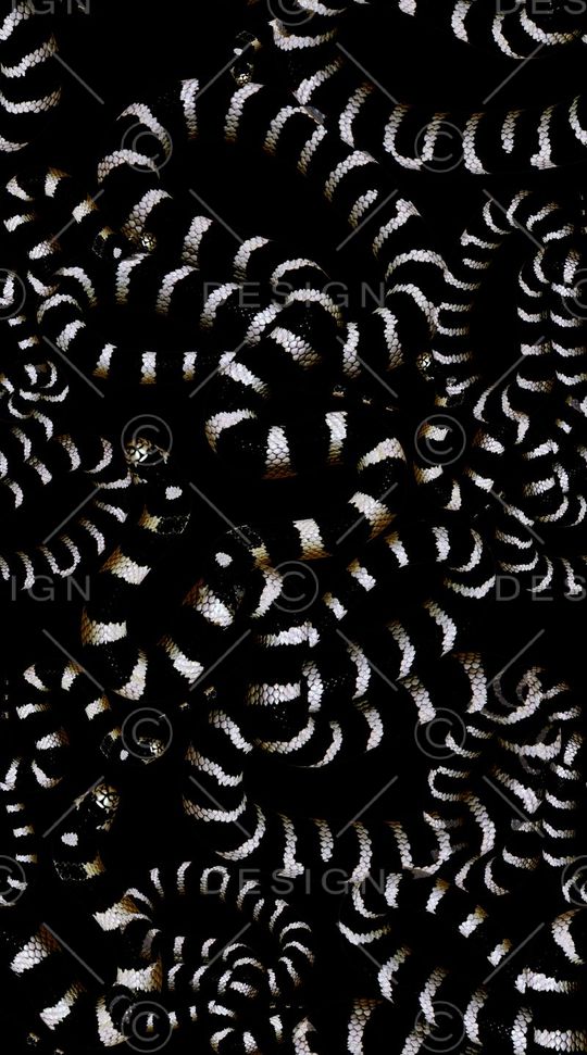 黑白印花华亿平台图片