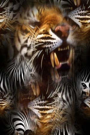 休闲印花华亿平台图片