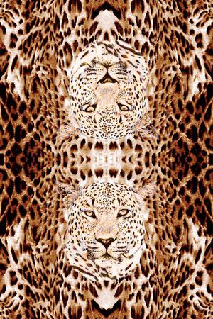 豹纹印花华亿平台图片