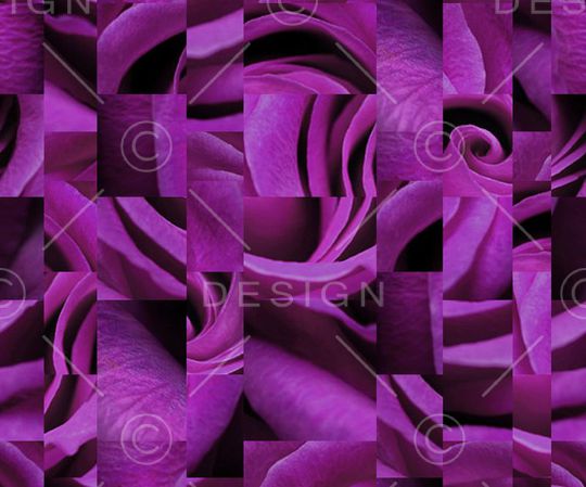 玫瑰花印花华亿平台图片