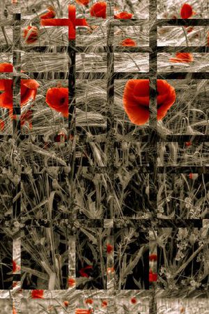 复古印花华亿平台图片