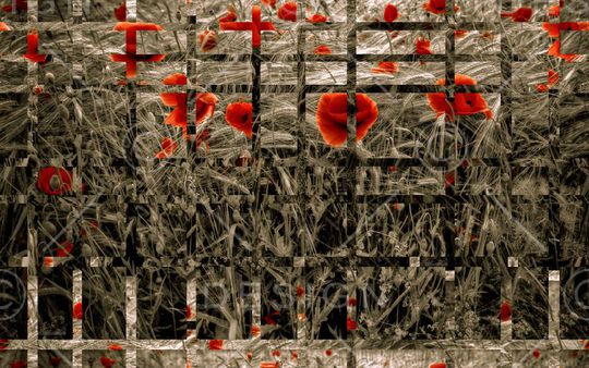 复古印花华亿平台图片